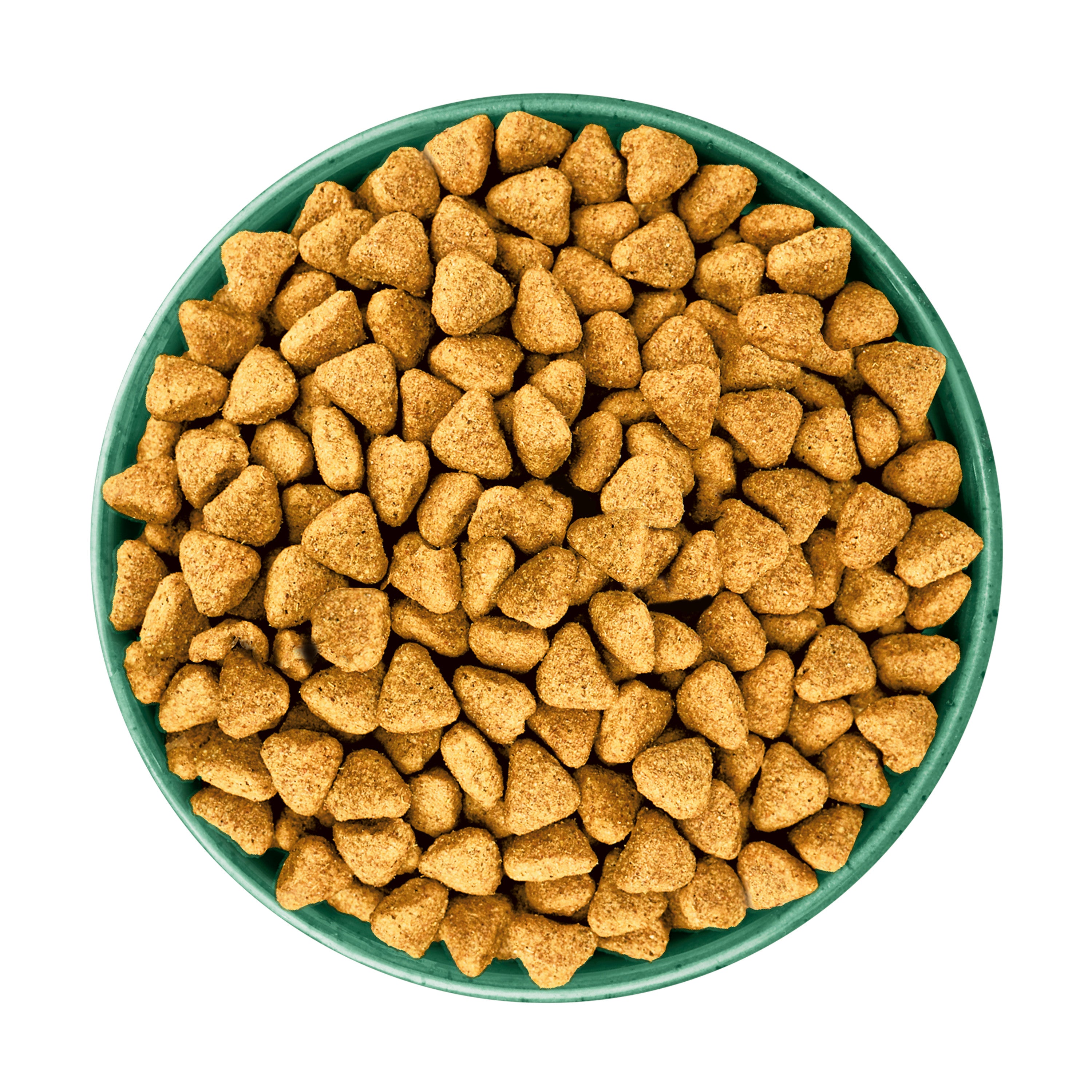 James Wellbeloved Grain Free Senior Dry Dog Food Turkey & Veg 10kg