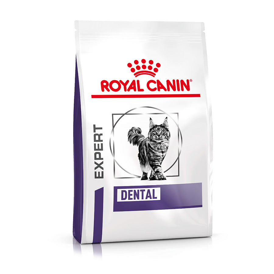 ROYAL CANIN Dental Adult Dry Cat Food